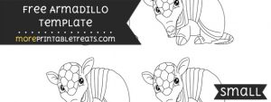 Armadillo Template – Small