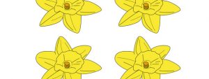 Daffodil Cut Out – Small