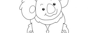 Koala Template – Large