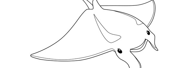 Manta Ray Template – Large
