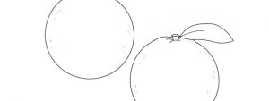 Orange Template – Medium