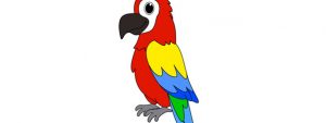 Parrot Cut Out – Large