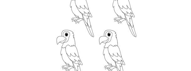 Printable Parrot Craft Template Printable Templates