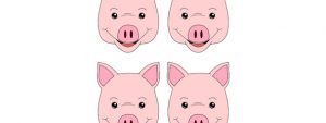 Pig Face Cut Out – Small