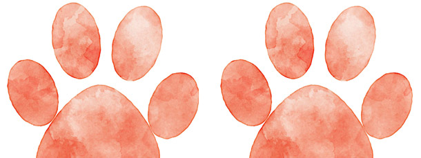 Watercolor Paw Print Tattoo Designs - wide 9