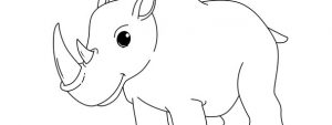 Rhino Template – Large