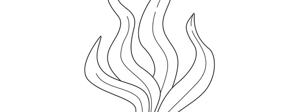Seaweed Template – Large