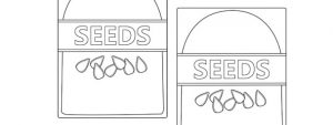 Seed Packet Template – Medium