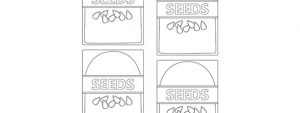 Seed Packet Template – Small