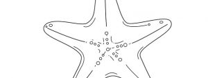 Starfish Template – Large