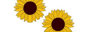 Sunflower Cut Out – Medium