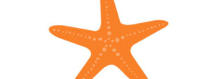 Free Printable Tangerine Orange Starfish