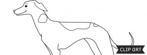 Whippet Dog Template – Clipart