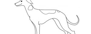 Whippet Dog Template – Large
