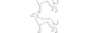 Whippet Dog Template – Medium