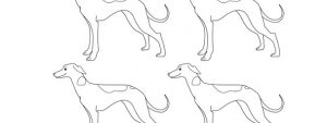 Whippet Dog Template – Small