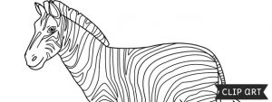 Zebra Template – Clipart