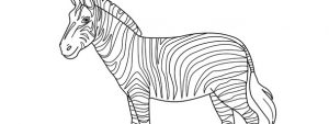 Zebra Template – Large