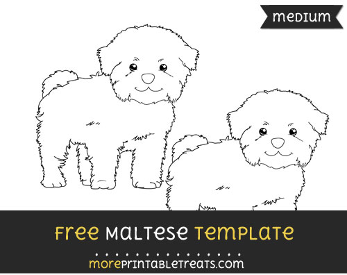 Free Maltese Template - Medium