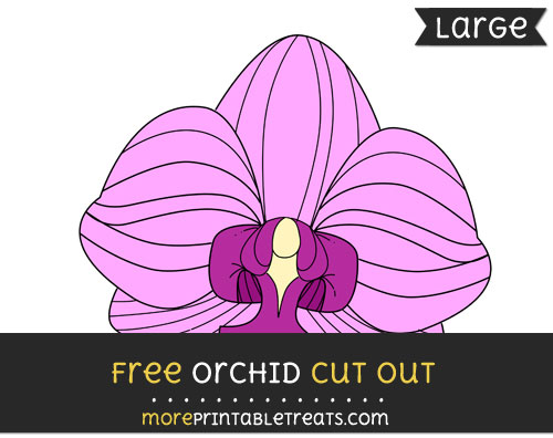 Free Orchid Cut Out - Large size printable