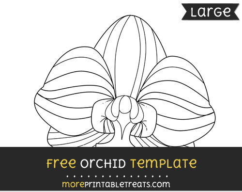 Free Orchid Template - Large
