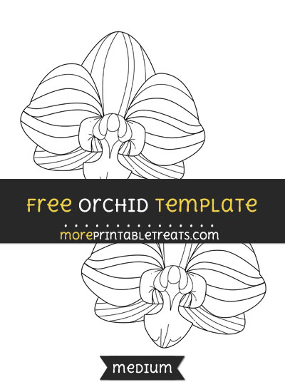 Free Orchid Template - Medium