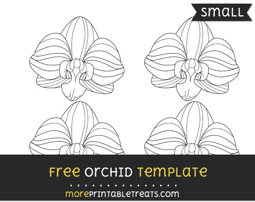 Free Orchid Template - Small