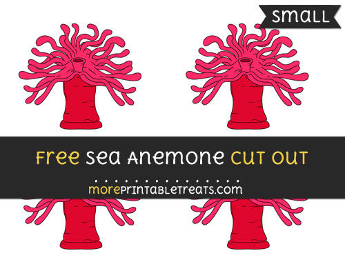 Free Sea Anemone Cut Out - Small Size Printable