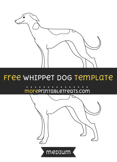 Free Whippet Dog Template - Medium